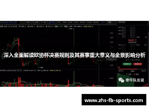 深入全面解读欧协杯决赛规则及其赛事重大意义与全景影响分析